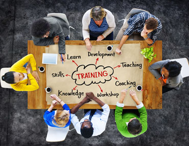 Training & Development